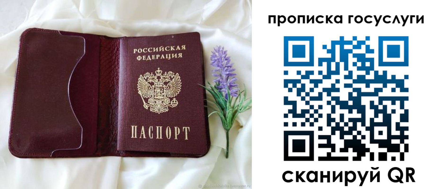 форма 3 в Видном