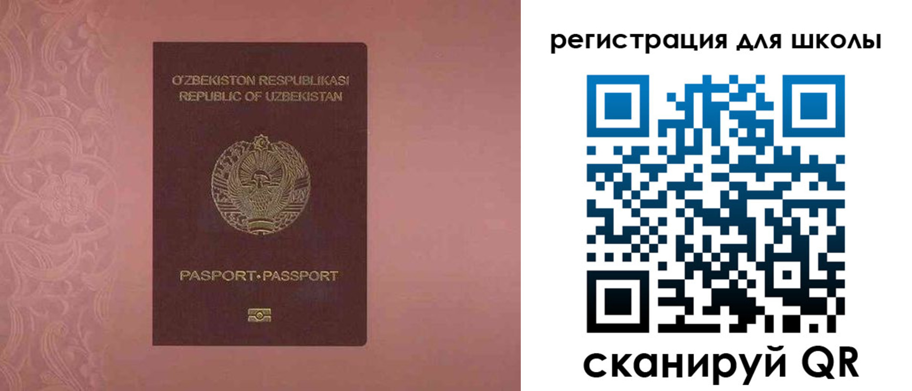 прописка для школы в Видном
