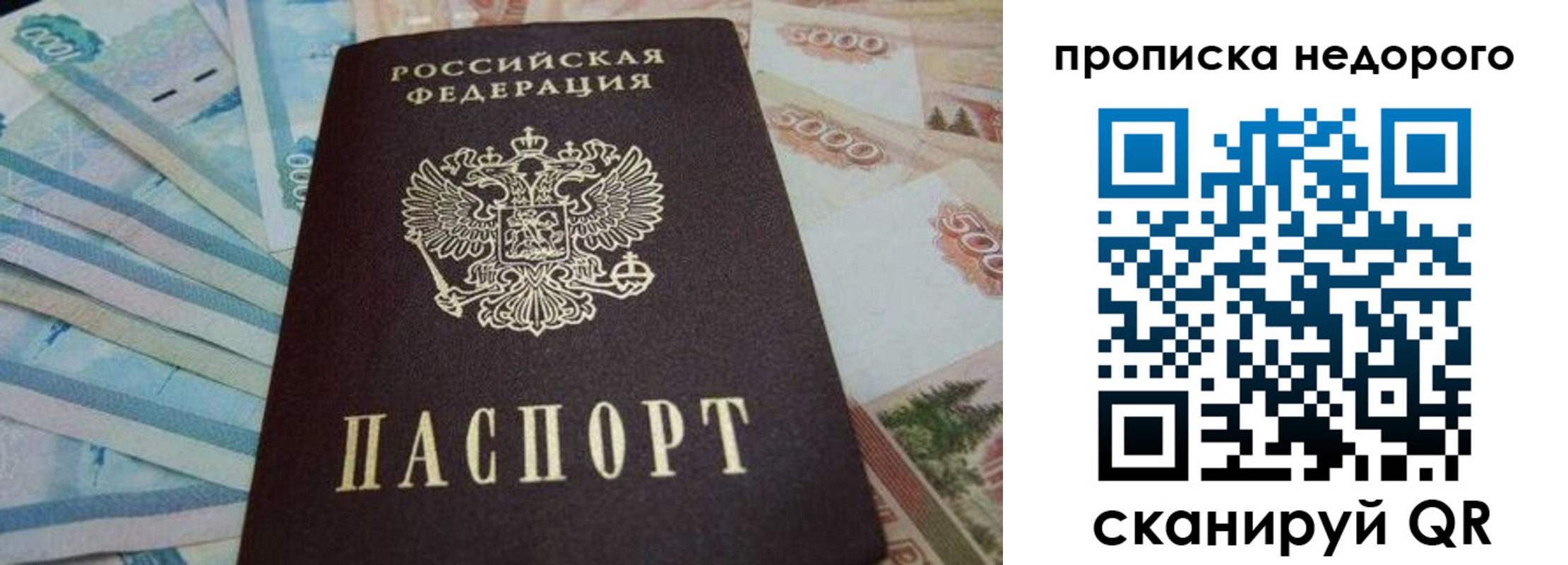 временная регистрация поиск в Видном